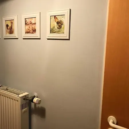 Hundefreundliches In Mit Terrasse, Grill Und Garten 잔트